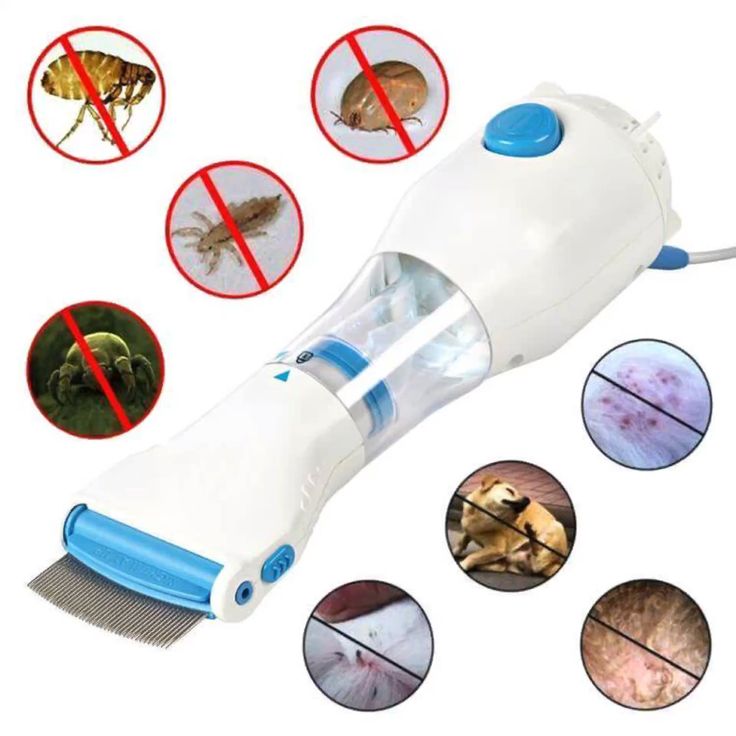 🌟🧴✨ V-Comb™ ScalpShield Anti-Lice Comb 🍃💙 💎 Target • Remove • Protect 🚿🌿